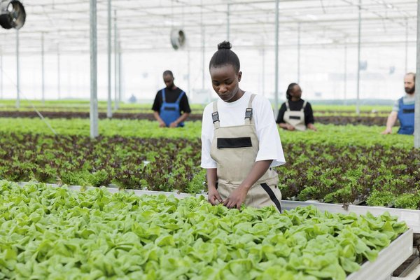 What Are the New Methods for Reducing Sound Pollution in Urban Environments?